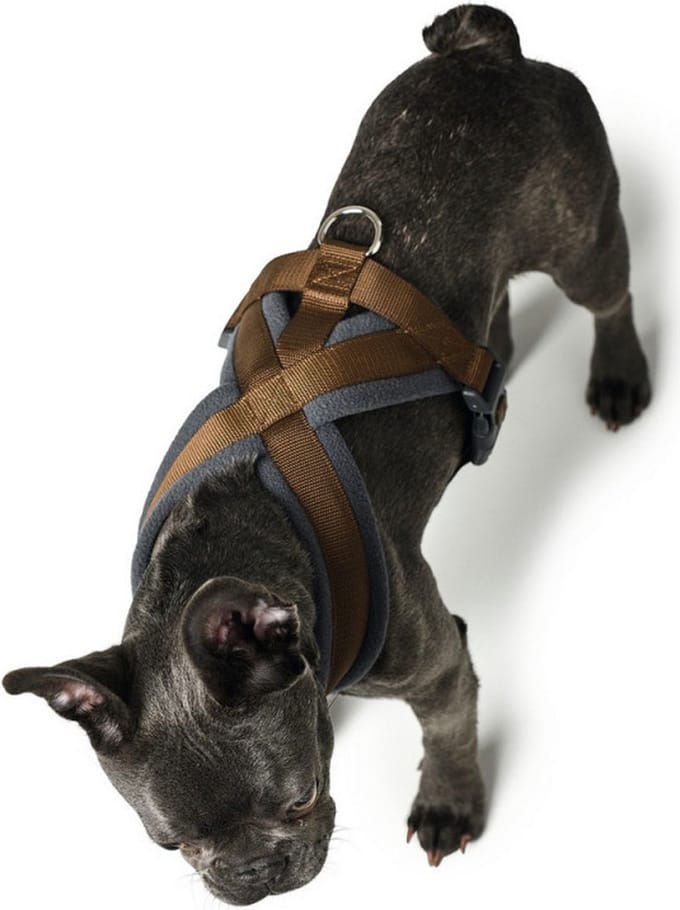 Hondentuigje Hunter London Comfort 48-56 cm Bruin Maat S/M