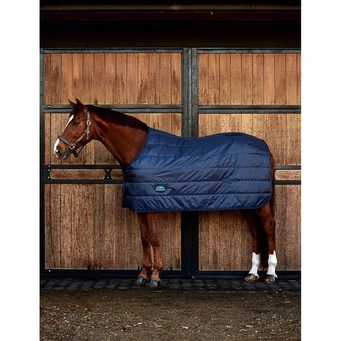 Undercover voor paarden Weatherbeeta Comfitec 100g