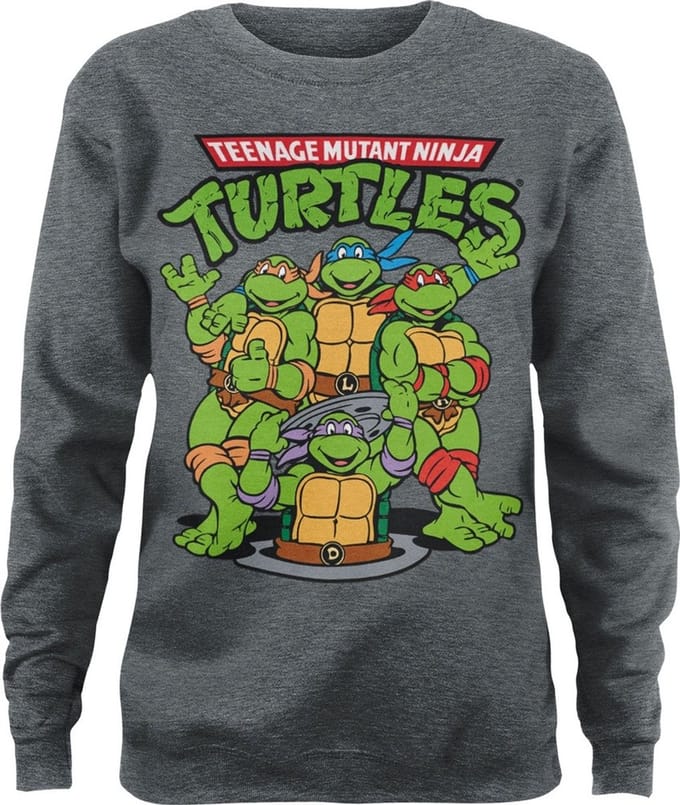 Teenage Mutant Ninja Turtles Group Girly-sweatshirt voor dames, Heather-Medium-Grey