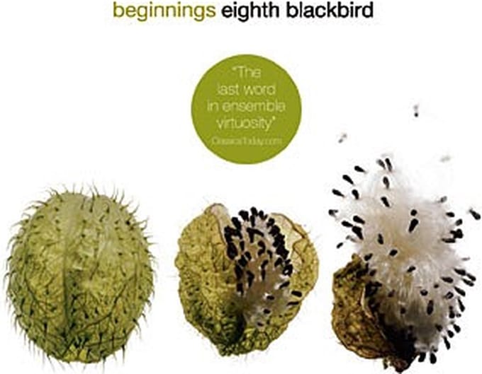 Eighth Blackbird - Beginnings (CD)