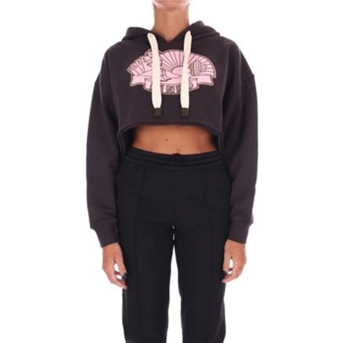 Capuchon sweaters Pinko 104112A25T