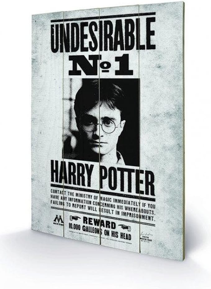 Harry Potter Undesirable No1 Wood Print
