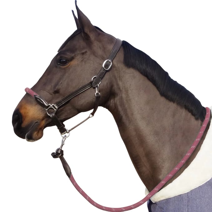 Touwhalster met witte gespen Canter