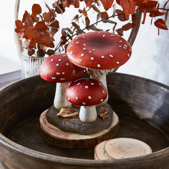 LOBERON Sierpaddenstoel Lupton rood/wit