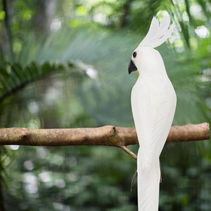 27,5 cm Schattige Simulatie Schuim Papegaai Kunstvogel Decoratie voor Tuin Huis Decoratie white