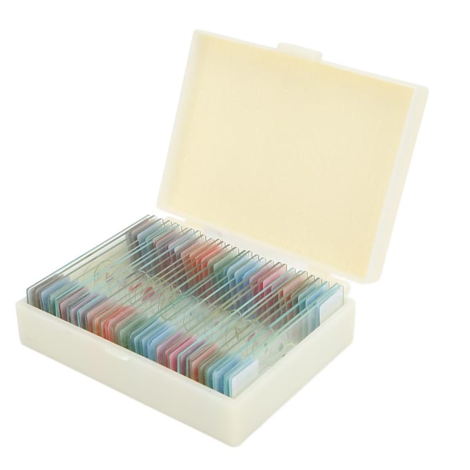 30 Stuks Microscoopglaasjes met Doos Transparant Biologie Geprepareerde Glaasjes Set voor Laboratorium beige