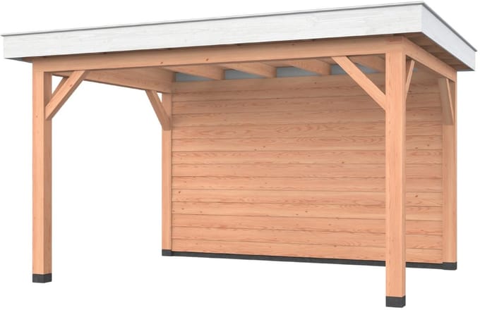 Douglas overkapping, 400 x 300, met achterwand, Westwood Holland Basic