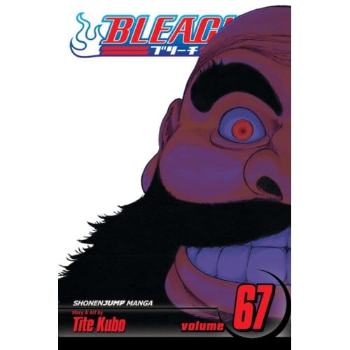 Bleach, Vol. 67 - Bleach - Tite Kubo