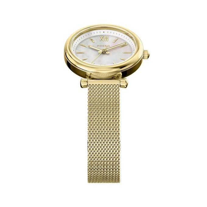 FOSSIL ES5462 Vrouwen Horloge 28 mm Goudkleurig