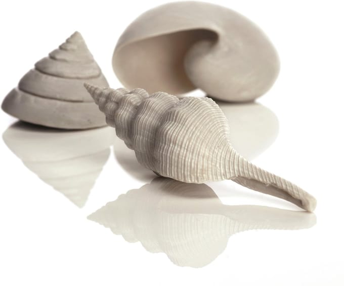 Biorb schelp set - wit