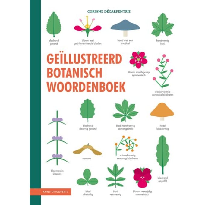 Geïllustreerd Botanisch Woordenboek - Corinne Décarpentrie