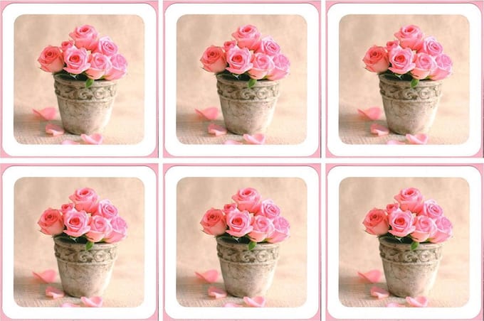 6 Wenskaarten met envelop - Vierkant - Blanco - Bloemen - Gekleurde envelop - 16 x 16 cm