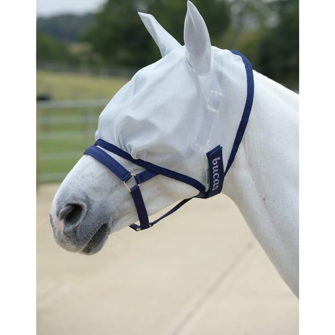 Anti-vliegenmasker voor paarden Bucas Freedom