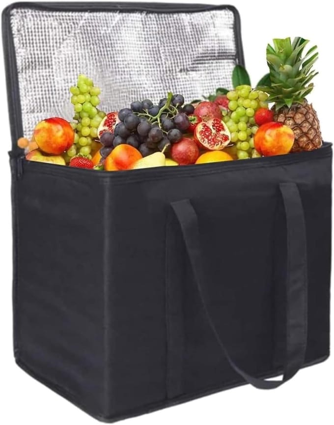 Geïsoleerde koeltas voor Picknick en Camping - 30L Capaciteit - Grote Lunchtas voor Barbecue en Boodschappen