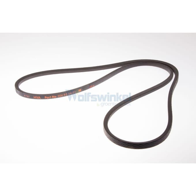 Belt