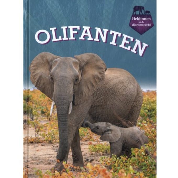 Olifanten - Heldinnen In De Dierenwereld - Maivboon Sang