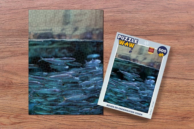 Puzzel Vissen - School - Water - Legpuzzel - Puzzel 500 stukjes