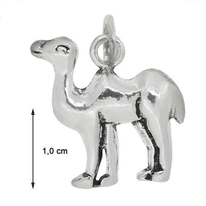 Blinx Jewels Zilveren Hanger Kameel
