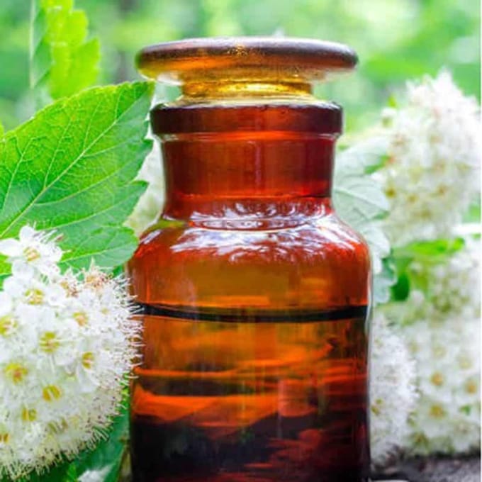 Litsea Cubeba (May Chang) Etherische Olie Biologisch - 50 ml