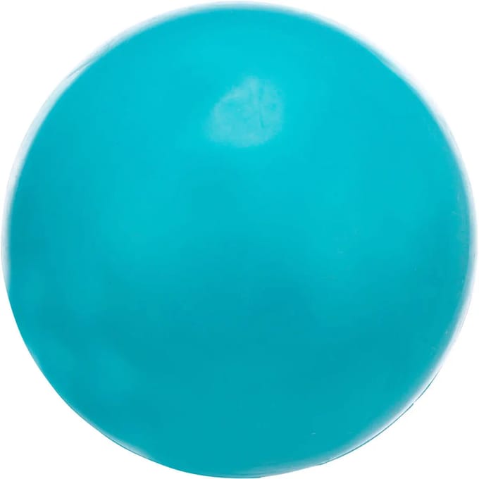 Silent ball hondenspeelgoed van natuurlijk rubber Trixie