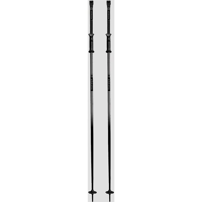 Armada Triad Ski Stokken grijs