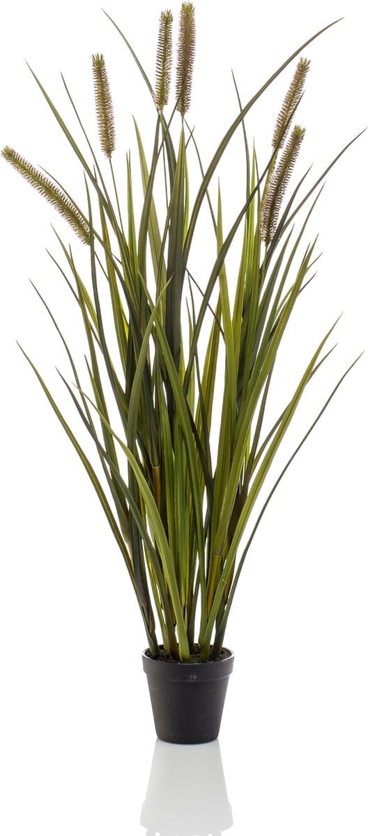 Emerald - Kunstplant Kattenstaart Gras kort 85cm - Kunstplant voor binnen