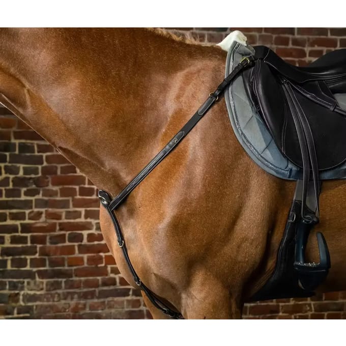 Jachthalsband voor paarden Dy'on
