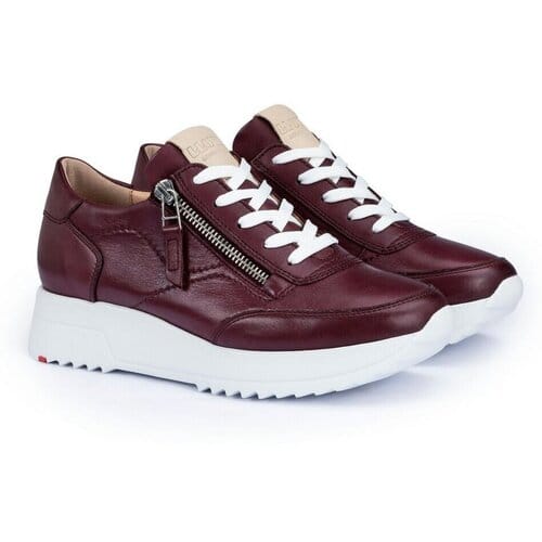 Sneakers Lloyd -