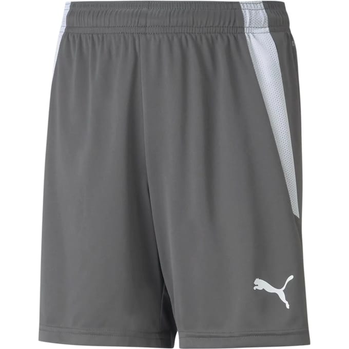 Puma Teamliga Short Kinderen - Grijs | Maat: 128