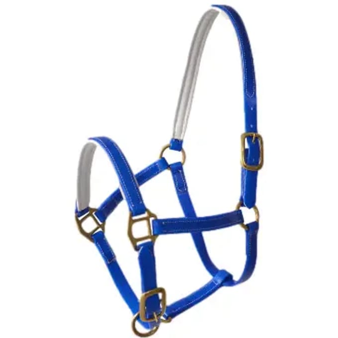Biothane Halster voor paard Lexhis Square Beadband