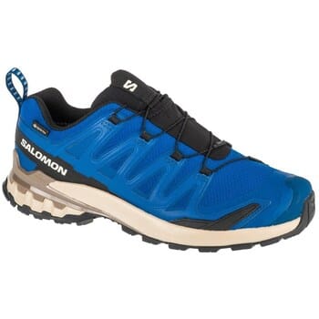 Nette Schoenen Salomon Xa Pro 3d V9