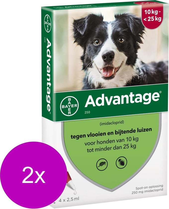 Advantage Hond 4 pip - Anti vlooien en luizenmiddel - 2 x 2.5 ml 10-25kg