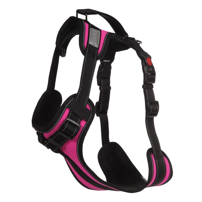 Rukka Harnas Solid, fuchsia M Borstomvang 65,–75 cm Hond
