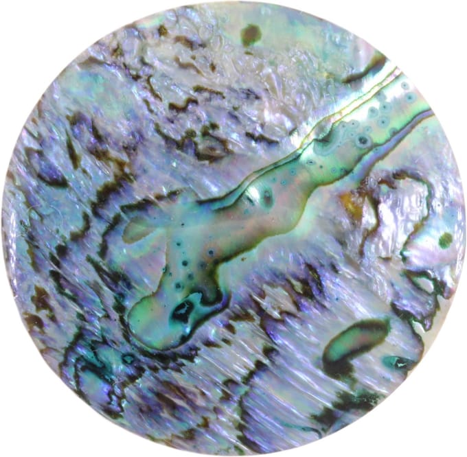 Behave – broche – blauwgroen – zilverkleurig – schelp – rond – 3,5 cm