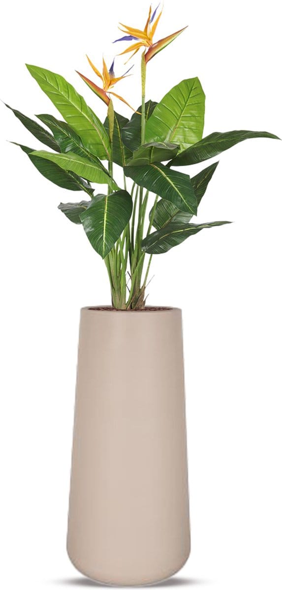 Kunstplant Strelitzia in Lucas taupe H195 cm