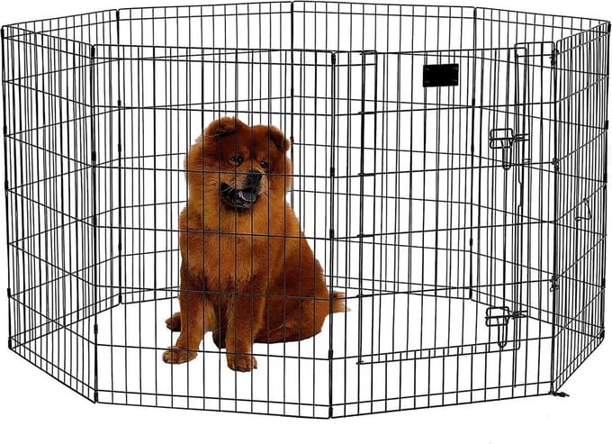 Trekker Puppyren L, 8-Paneel 61x92cm