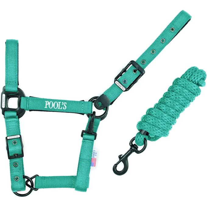 Nylon halster voor paard met leer Pool's