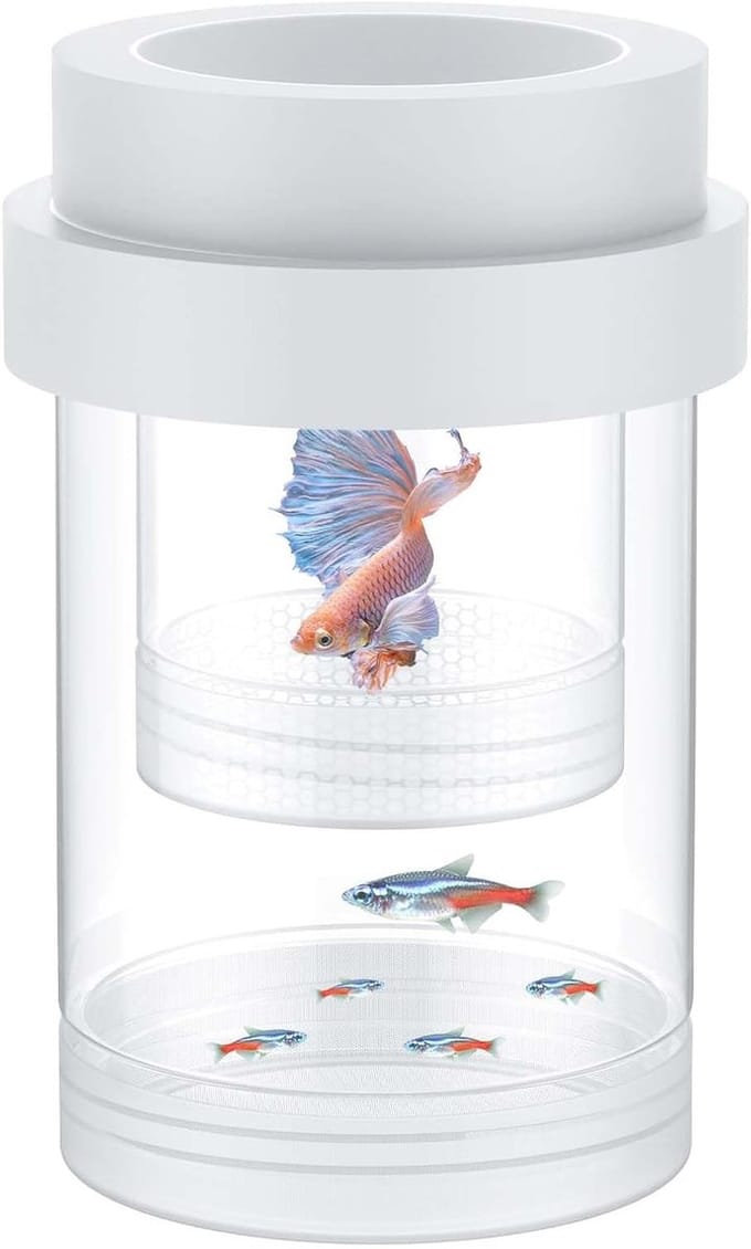 Aquarium viskweekbox van acryl met zuignappen voor optimale isolatie en kweekgemak