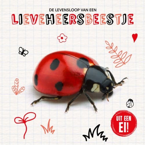 De Levensloop Van Een Lieveheersbeestje - Uit Een Ei! - Shalini Vallepur