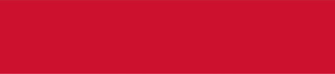Vlag Brielle 200x300cm