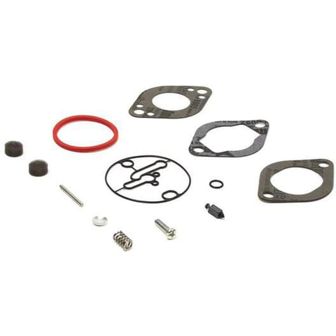 Briggs & stratton carburateur reparaties