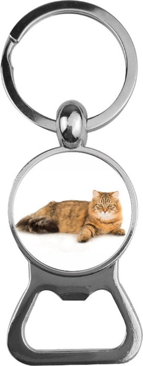 Bieropener Glas - Kat