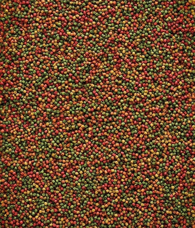 Nutribird C19 kanarie kweekvoer 3 kilo - Nutribird - Vogelvoer - Pellets - Nutribird