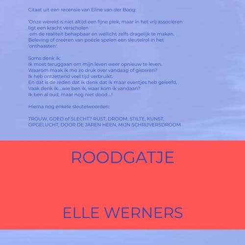 Rote Signale - ELLE WERNERS