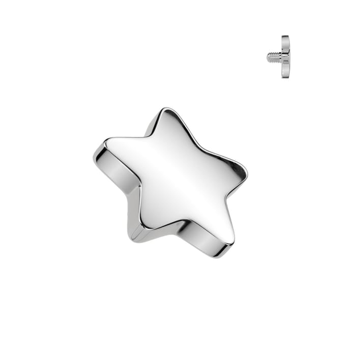 Dermal top 4 mm ster egaal zilver 1.6mm - LMPiercings