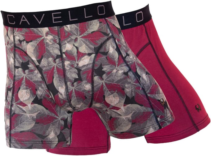 Cavello Heren 2-pack: CB24001 - maat XXL