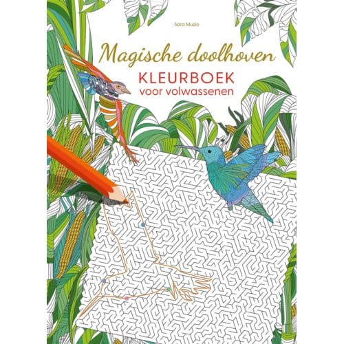 Magische Doolhoven Kleurboek Voor Volwassenen