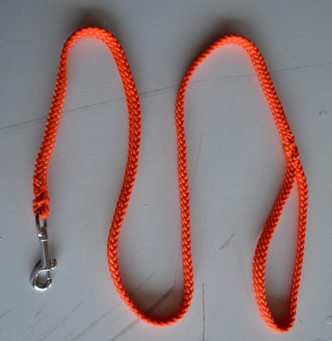Bianca's Standaard Lijn - Hondenriem - 200 cm - Medium - Oranje