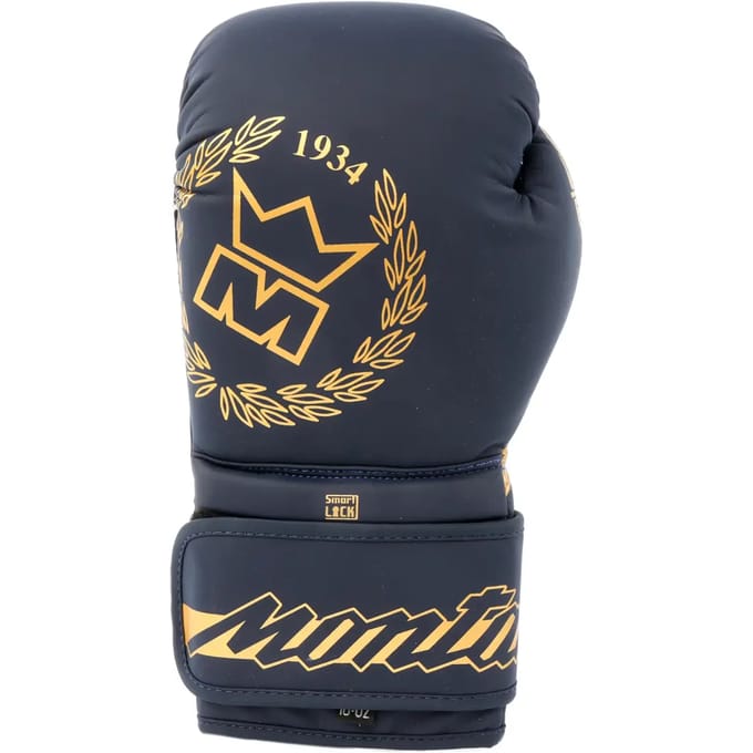Trainingshandschoenen voor boksen Montana Energy Poseidon