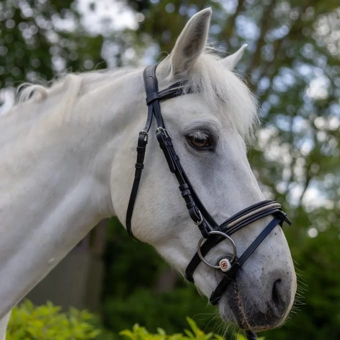 Hoofdstellen voor paarden Canter Mylord
